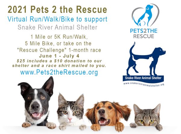 Pets 2 the Rescue Race 