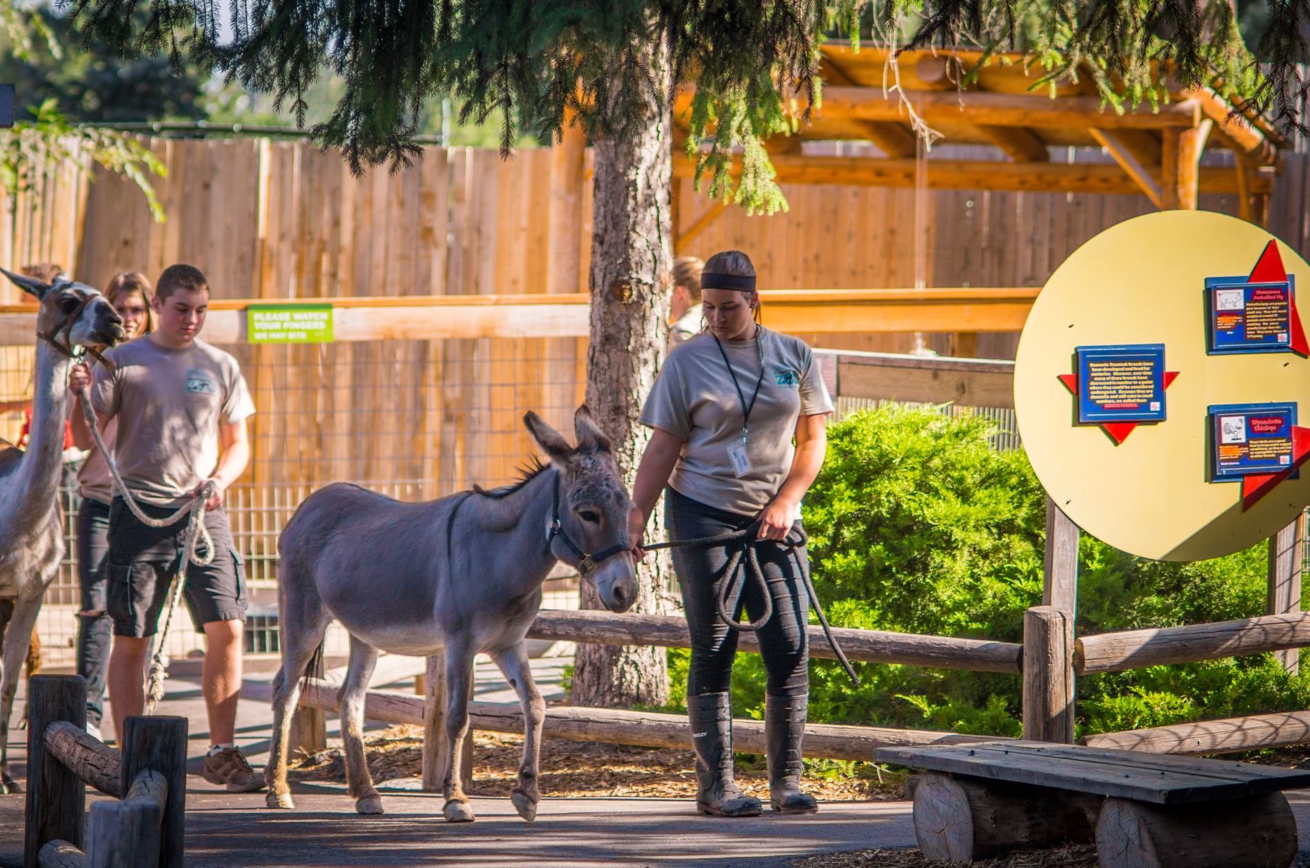 Full STEAM ahead at Idaho Falls Zoo with Picnics, Brews & Boos and