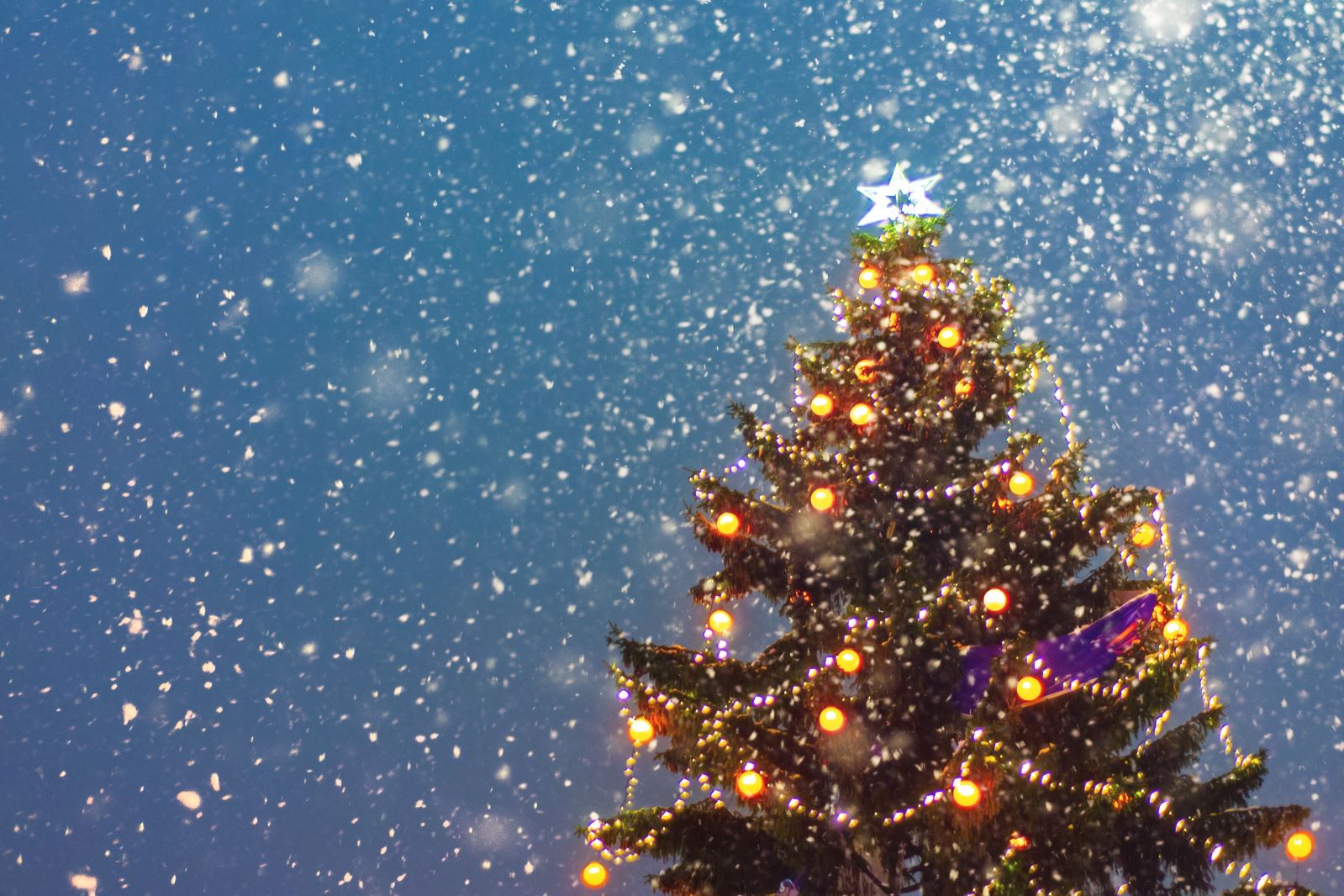 3rd Annual Christmas Tree Lighting Ceremony